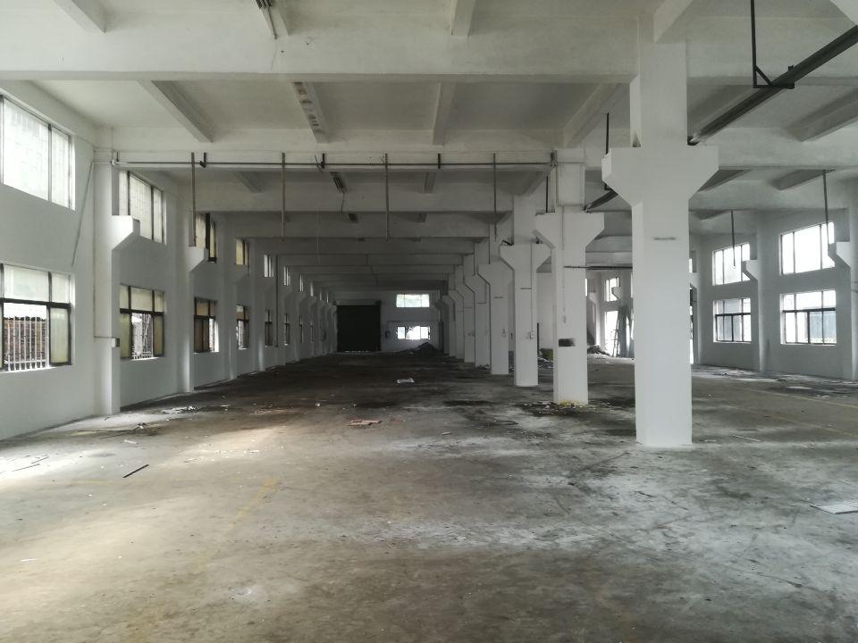 惠陽秋長鎮(zhèn)主干道旁新出標準獨院2800平方