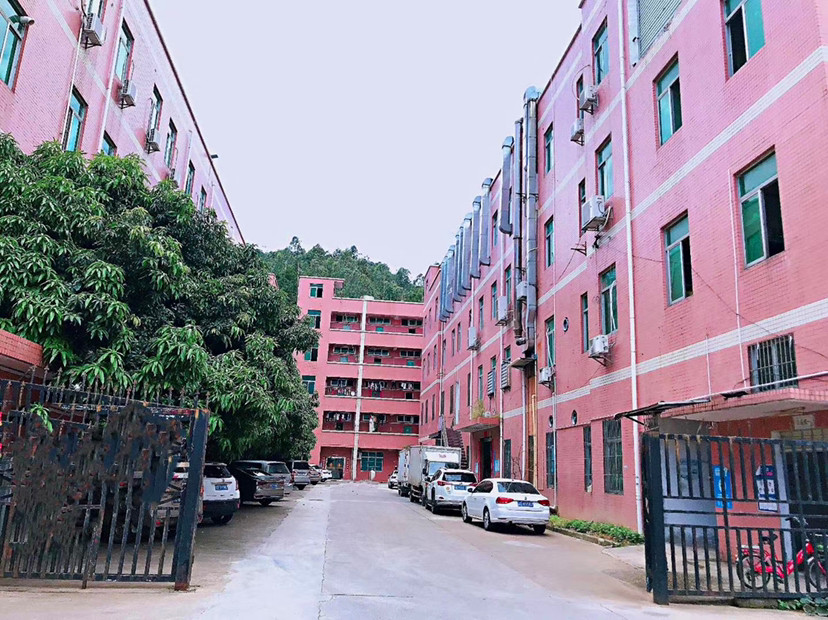 横岗园山街道，大康新出独院厂房出租，周边配套齐全，交通便利