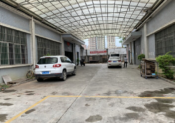 惠陽秋長紅本白石標準一樓700平方招租