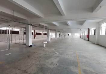 横岗大康原房东独栋红本厂房一二楼2800平方招租